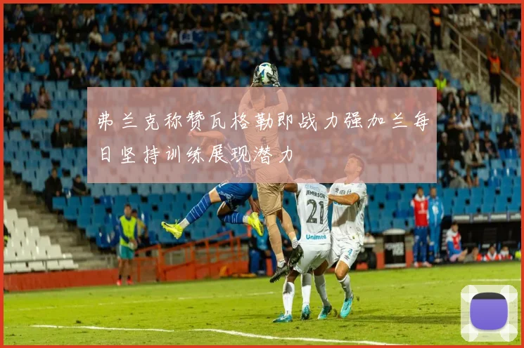 弗兰克称赞瓦格勒即战力强加兰每日坚持训练展现潜力