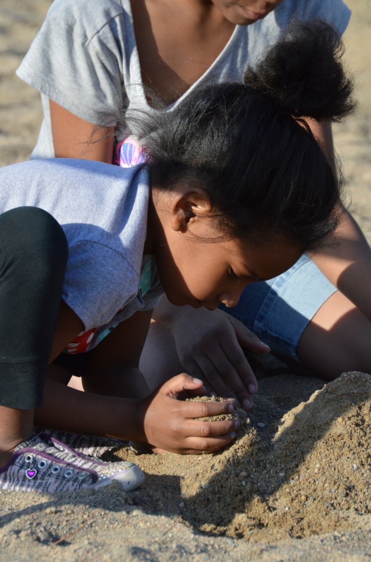 16953717868_7637b9d301_o